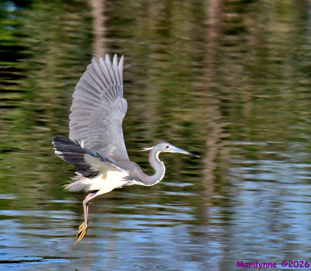 DSC_0898_001.JPG