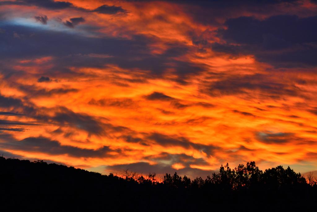 DSC_0899.jpg