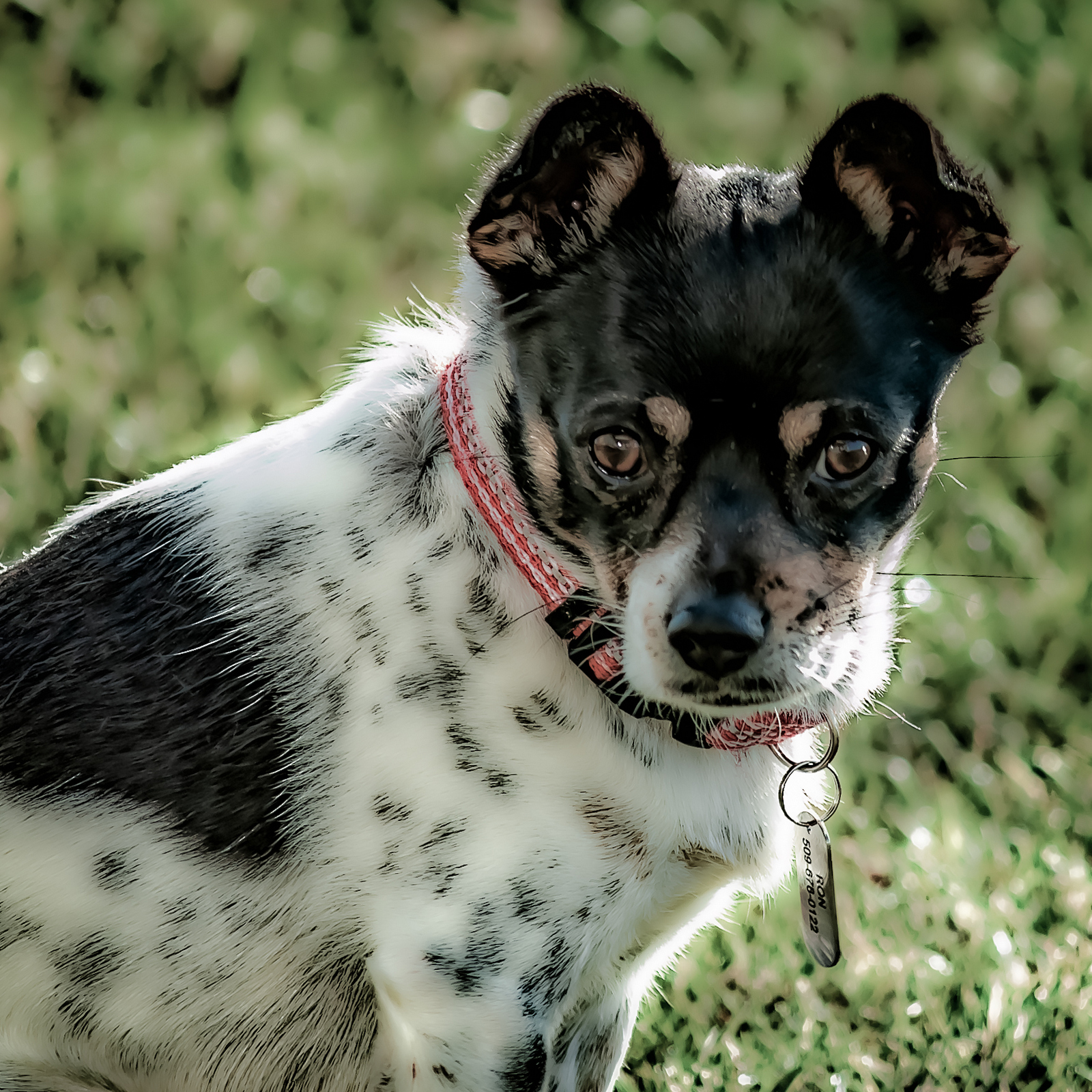 DSC_0900-Edit.JPG