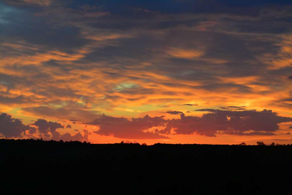 DSC_0903.jpg