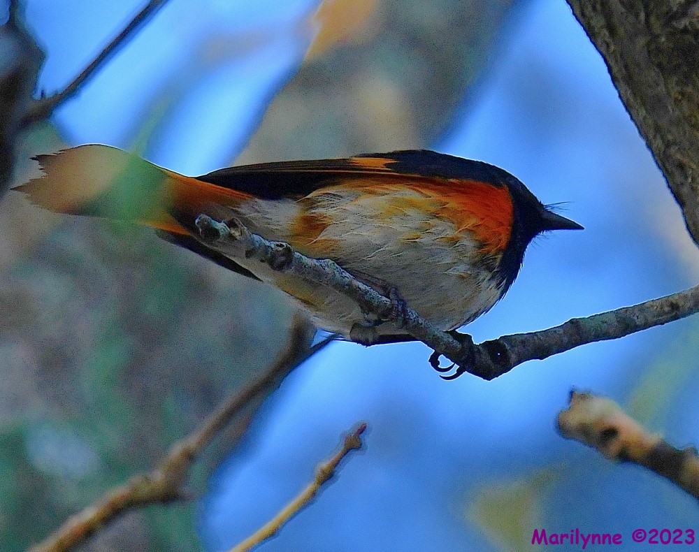 DSC_0904_001.JPG