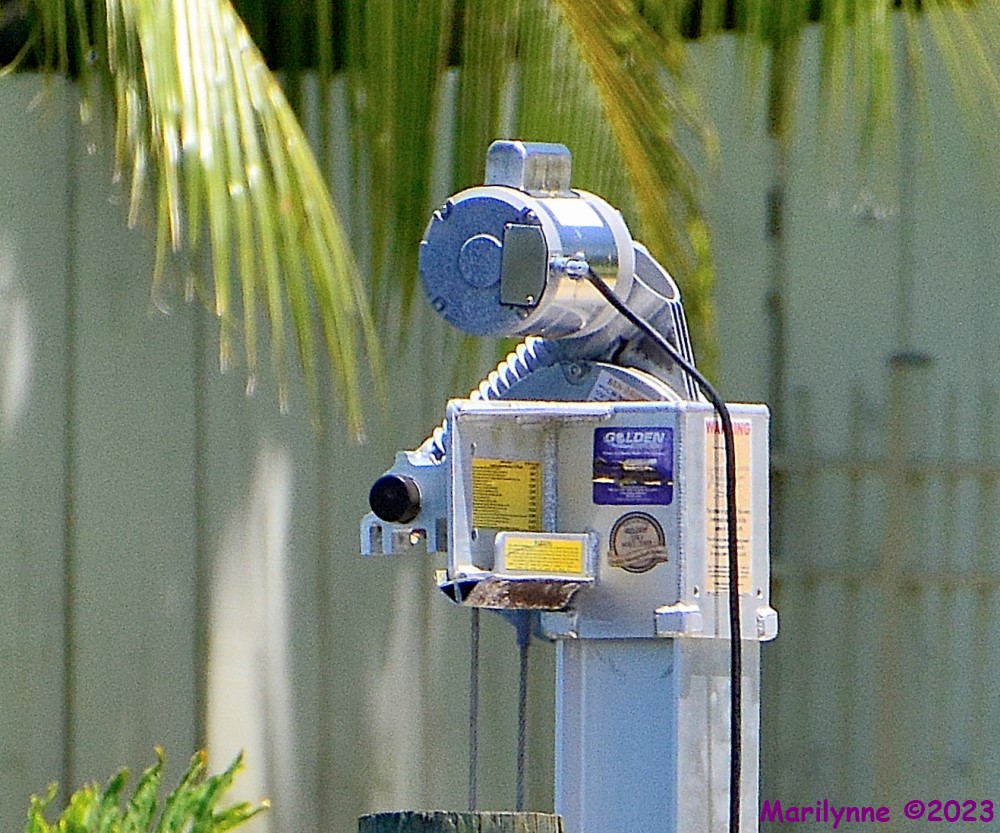 DSC_0907_001.JPG