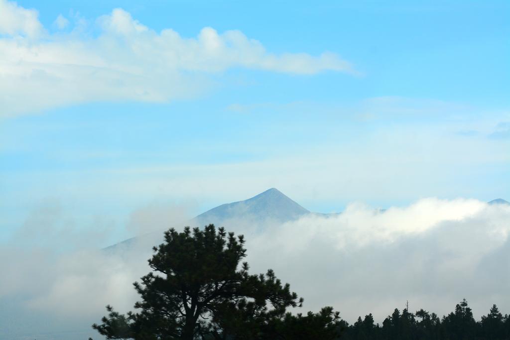 DSC_0908.jpg