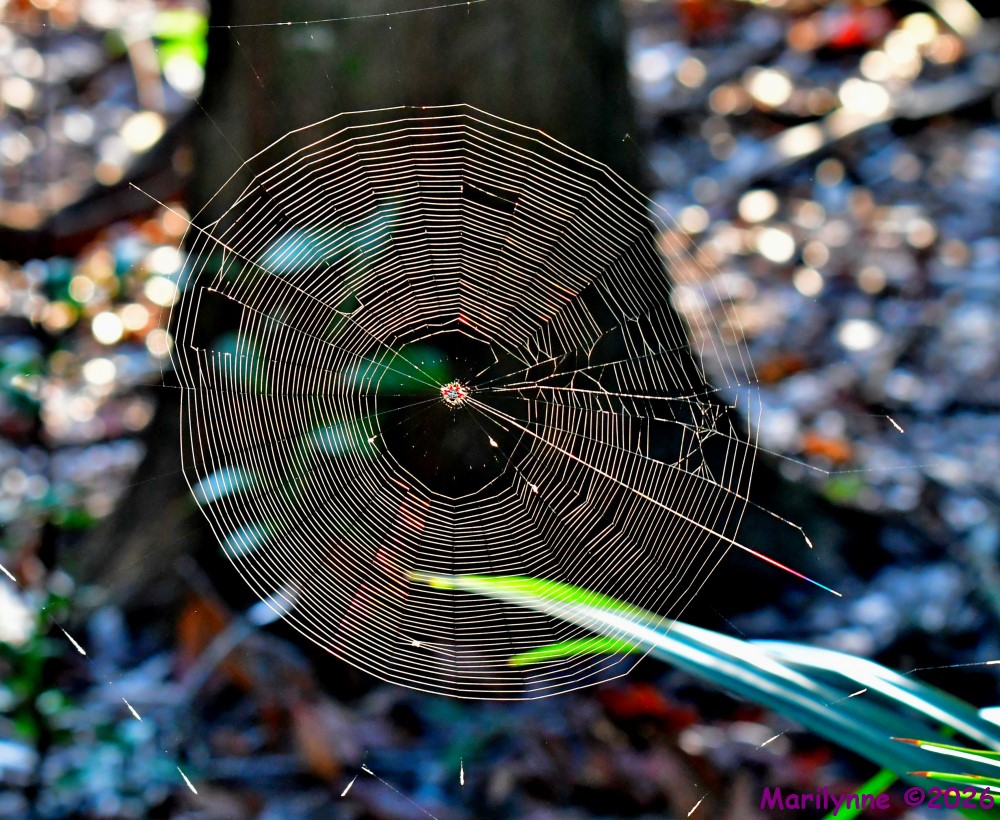 DSC_0912_001.JPG