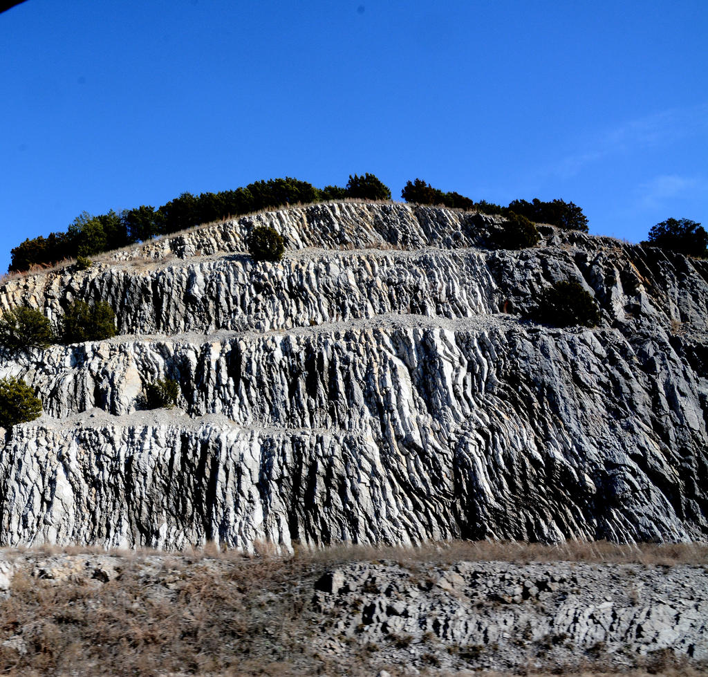 DSC_0913.jpg