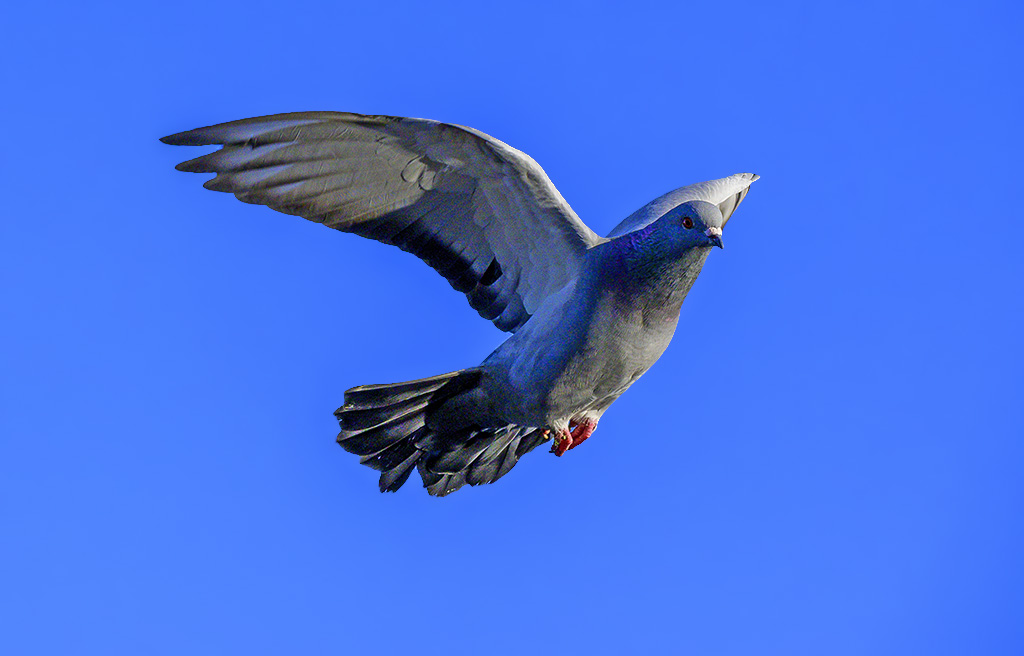 DSC_0922.jpg