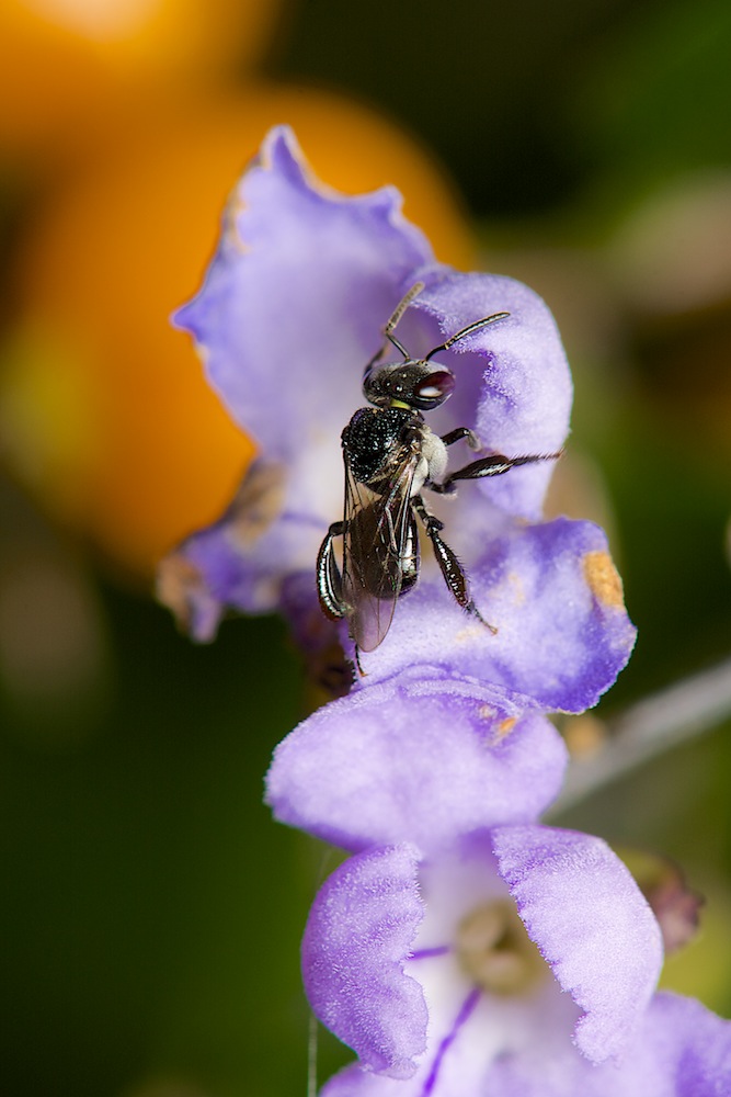 DSC_0925.jpg