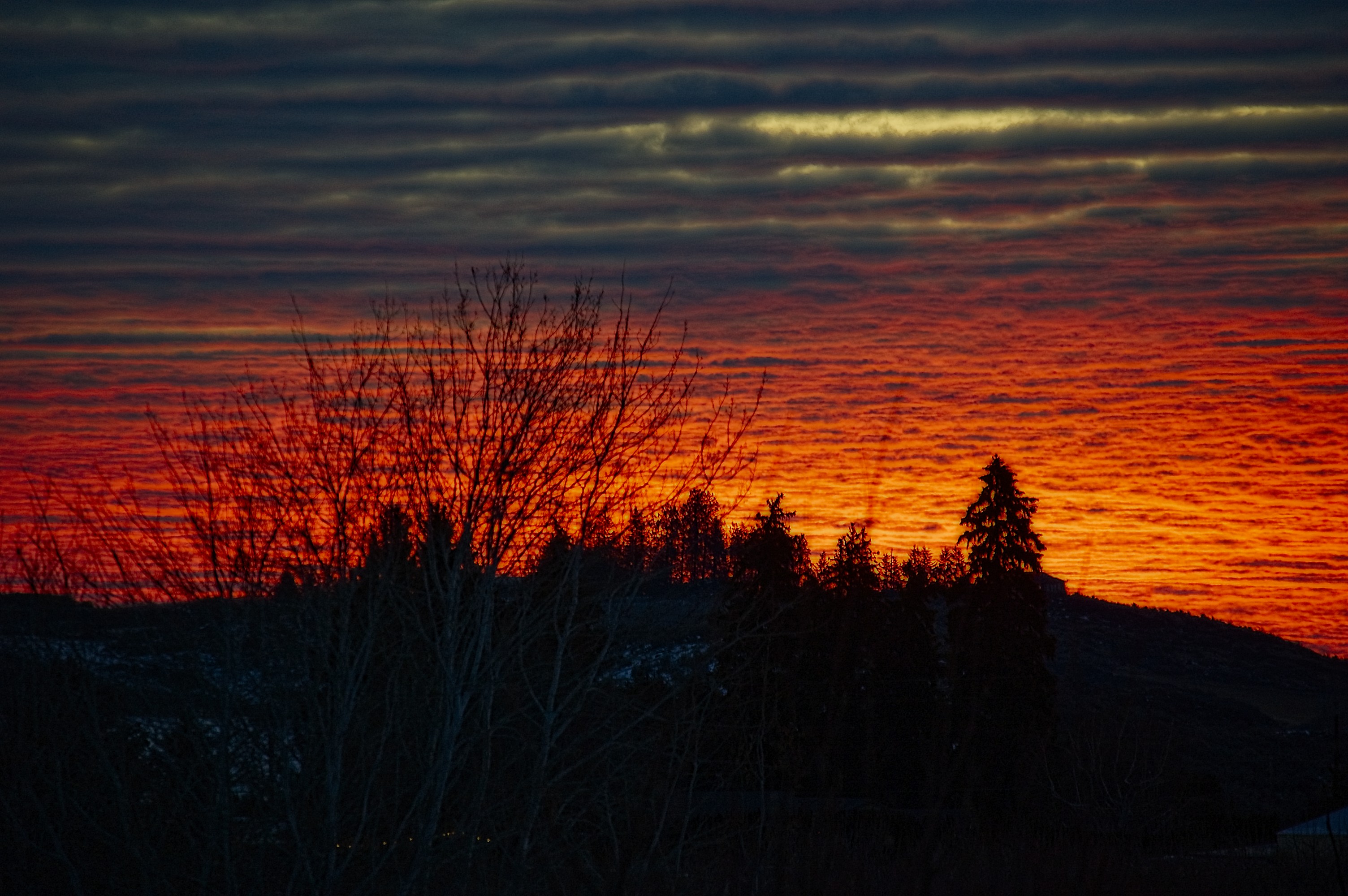 DSC_0925.jpg