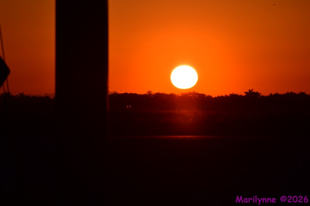 DSC_0926_001.JPG