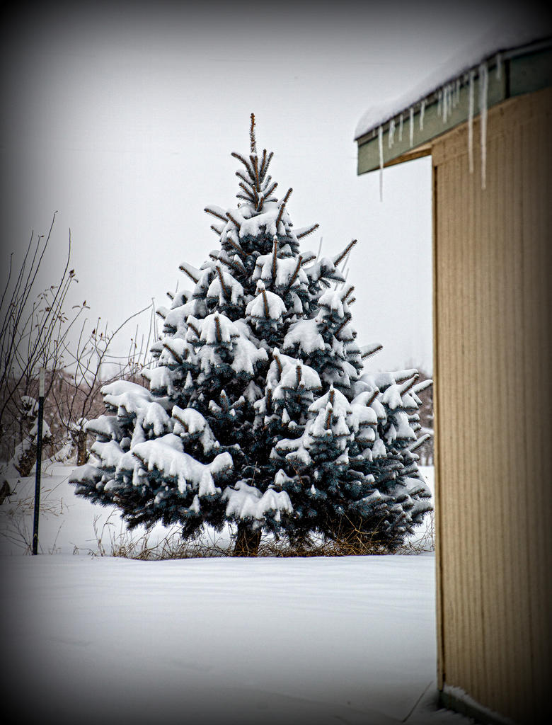 DSC_0927-Edit.jpg