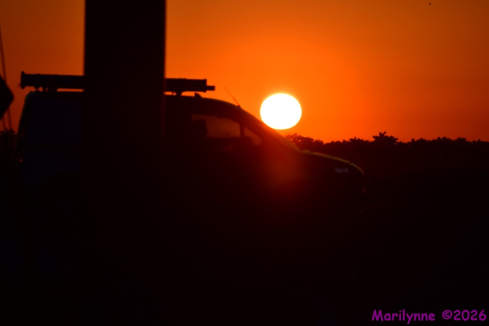 DSC_0928_001.JPG