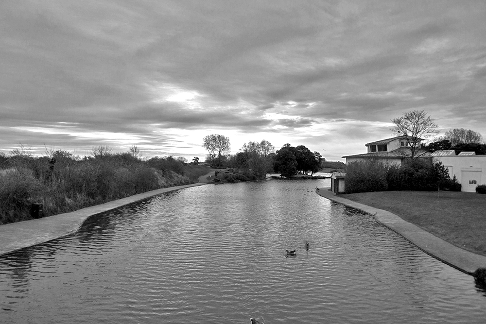 DSC_09301.jpg
