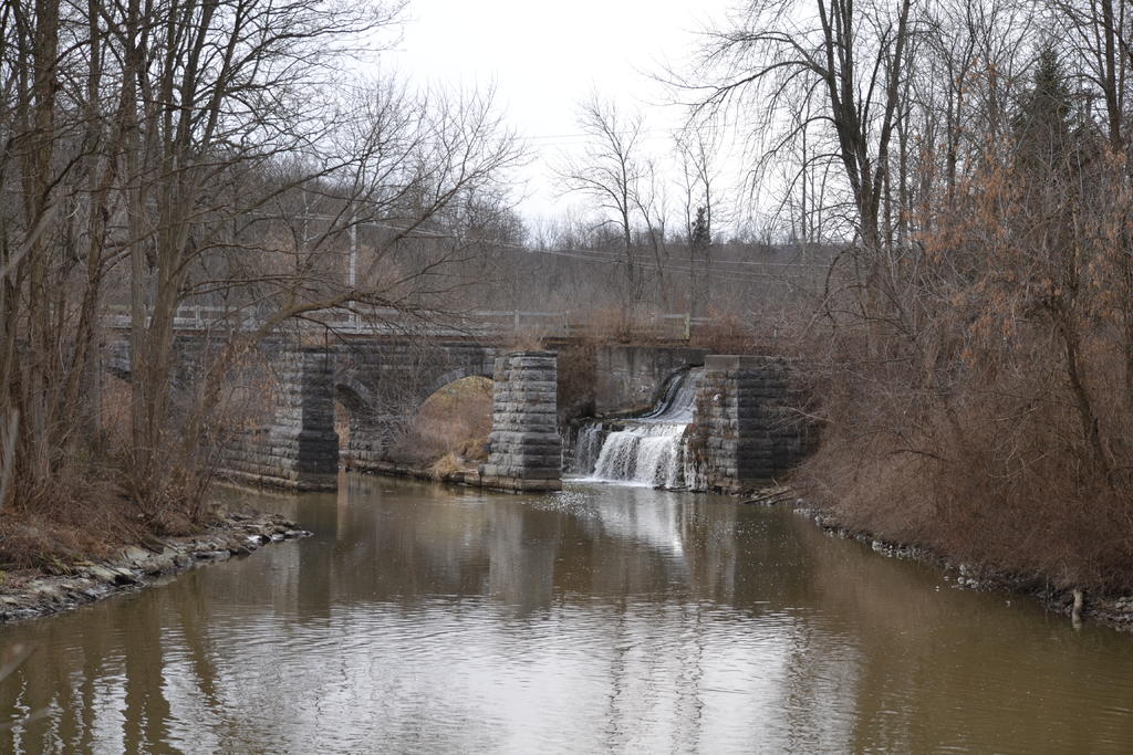 DSC_0939.jpg