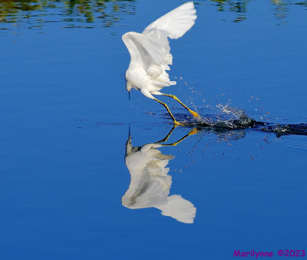 DSC_0943_001.JPG