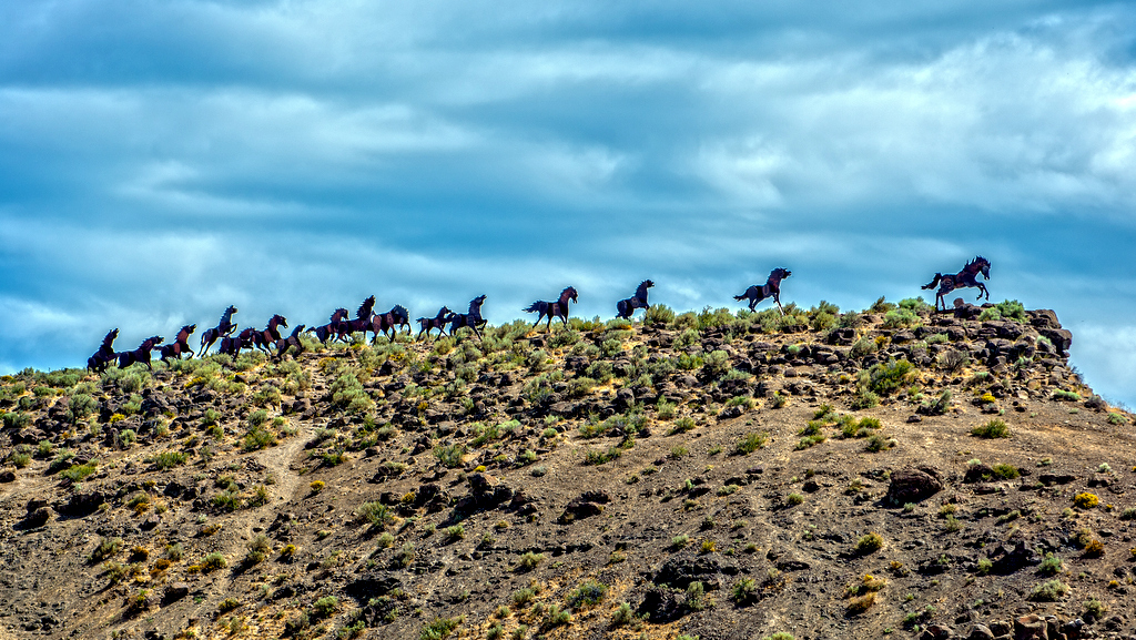 DSC_0949-Edit-Edit.jpg