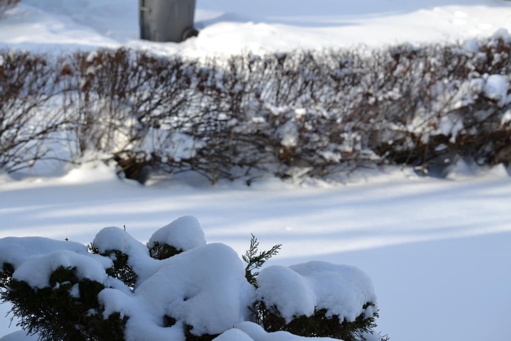 DSC_0955.jpg