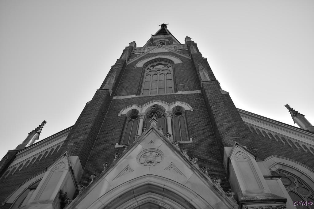 DSC_0960 nxd.jpg