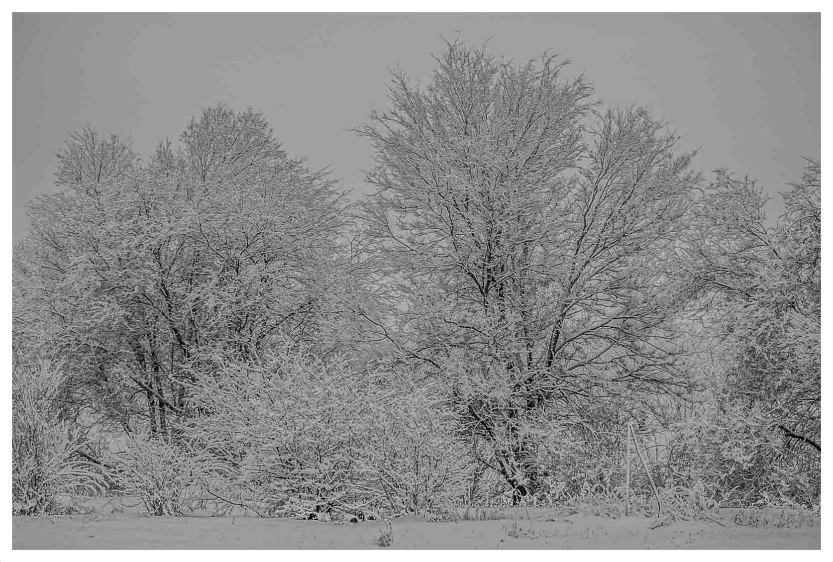 DSC_0962.jpg