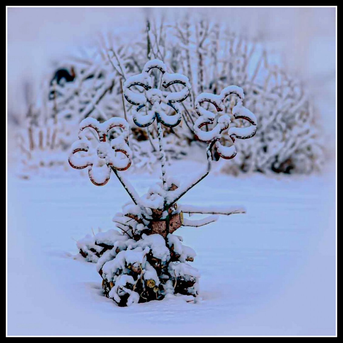 DSC_0963-Edit.jpg