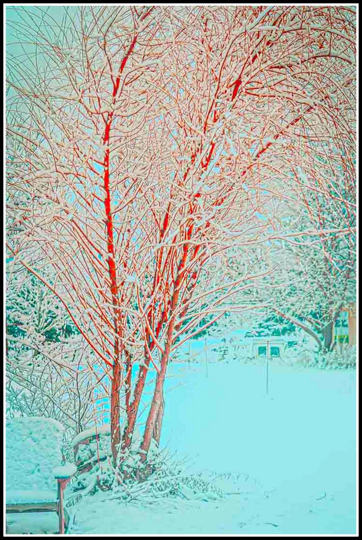 DSC_0965-Edit.jpg