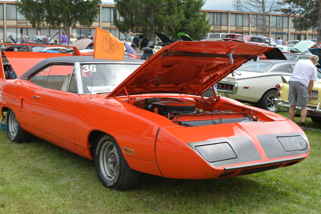DSC_0966.jpg