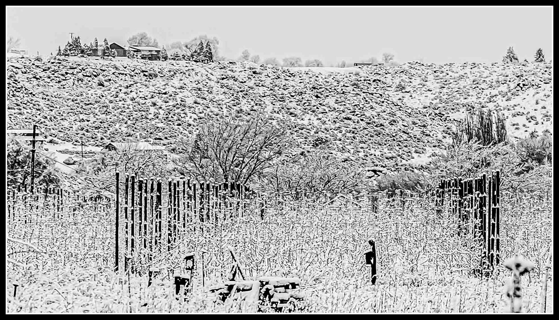 DSC_0971-Edit.jpg