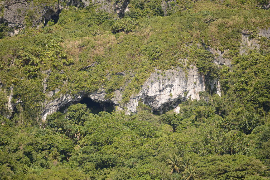 DSC_0972.jpg