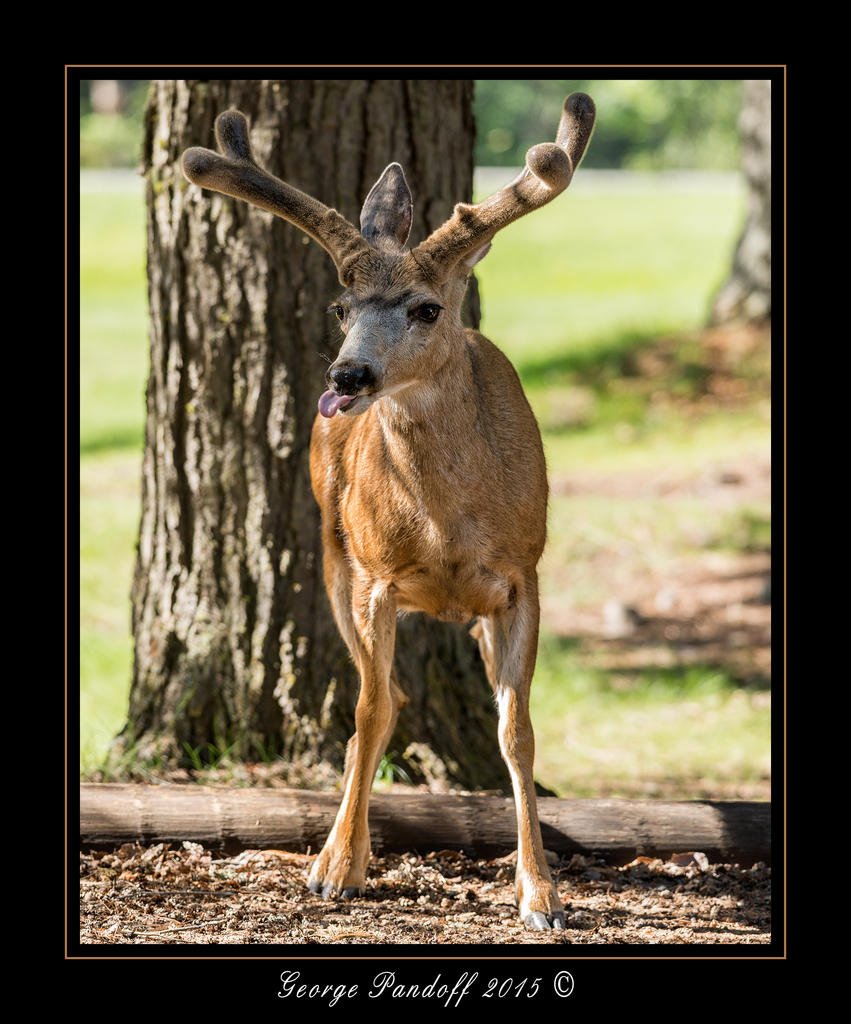 DSC_0976_Web.jpg