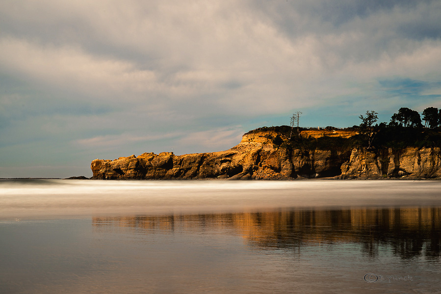 DSC_0977.jpg