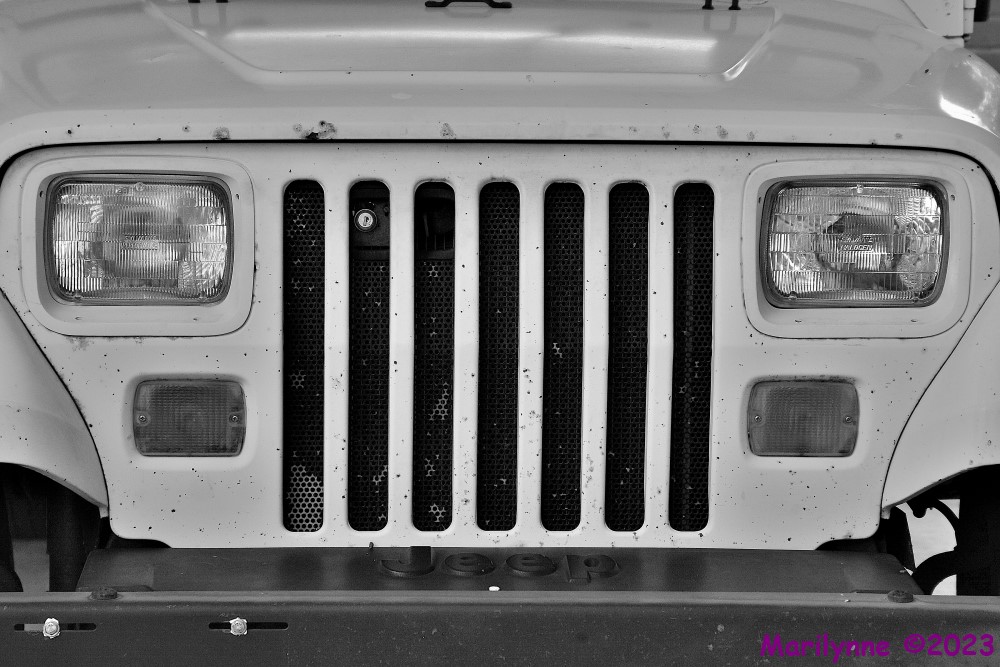 DSC_0978_001.JPG