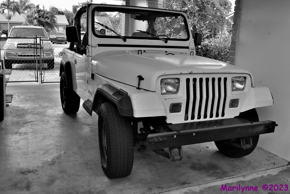 dsc_0979_001-jpg.395407