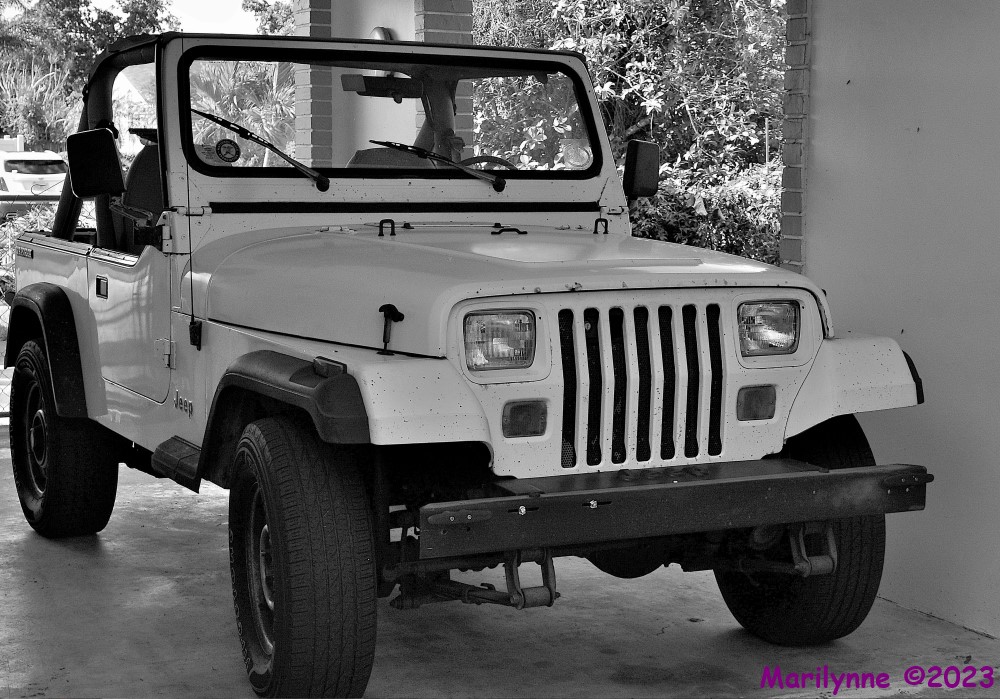 DSC_0980_001.JPG