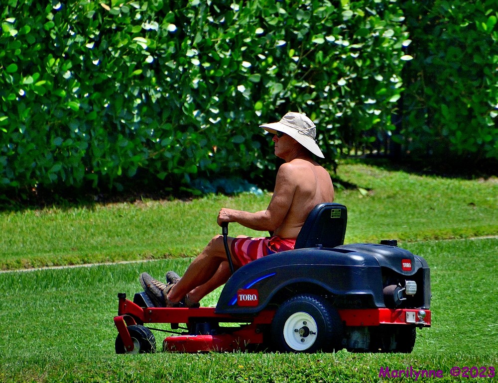 DSC_0992_001.JPG