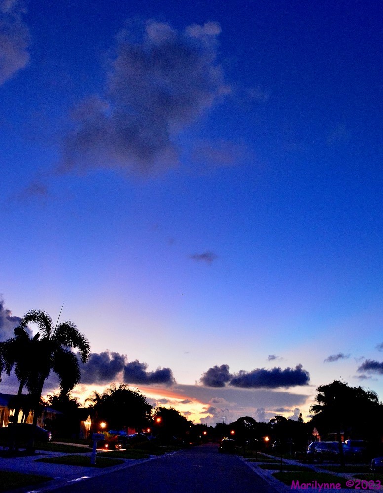 DSC_0994_001.JPG