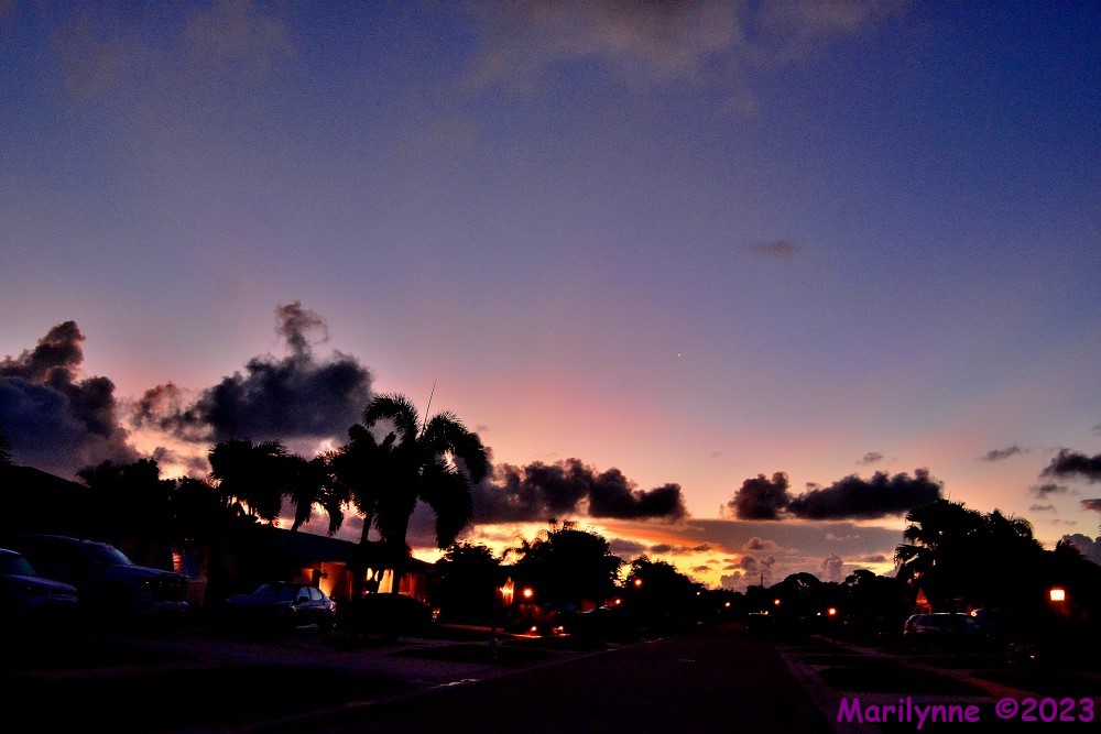 DSC_0998_001.JPG