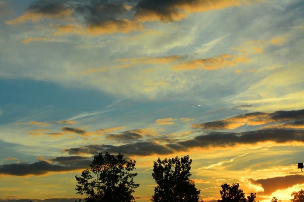 DSC_0999.JPG