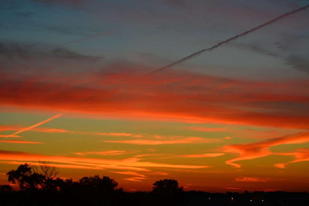 DSC_1000.jpg