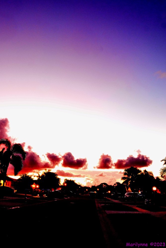 DSC_1009_001.JPG