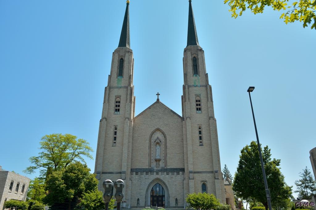 DSC_1010 nxd.jpg