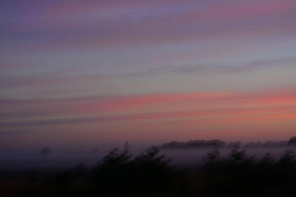 DSC_1013.jpg
