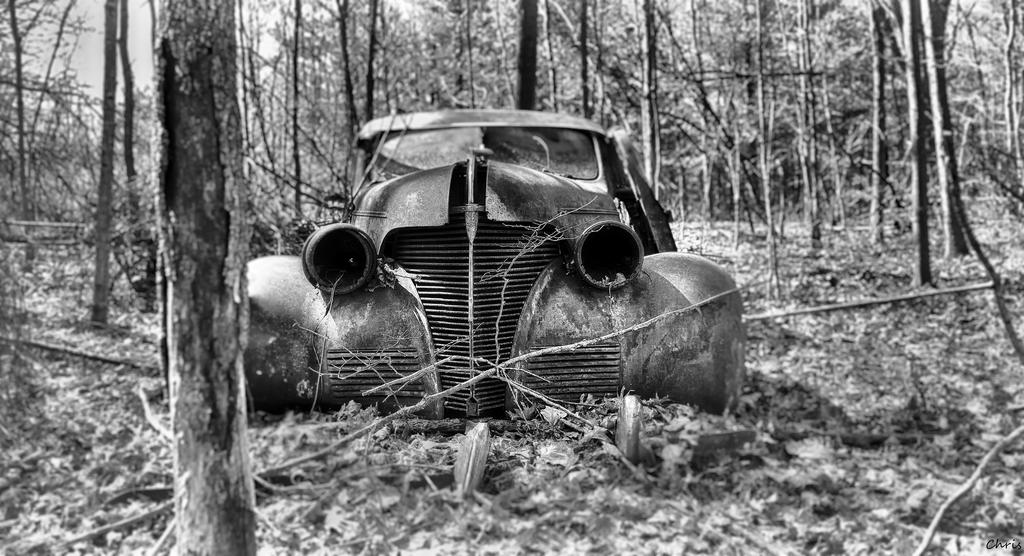 DSC_1013_HDR_3.jpg