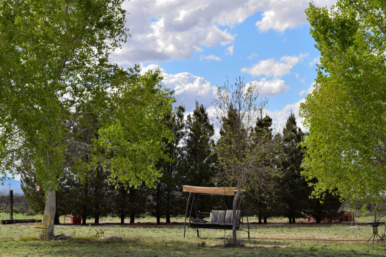 DSC_1014-20200407_260.JPG