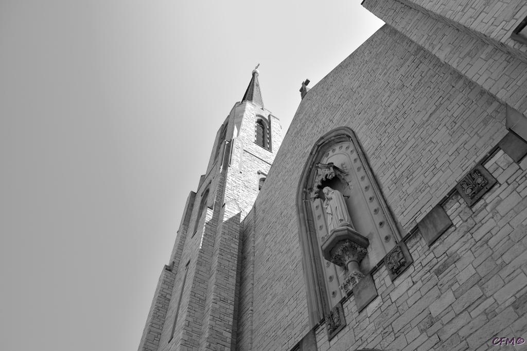 DSC_1016 nxd.jpg