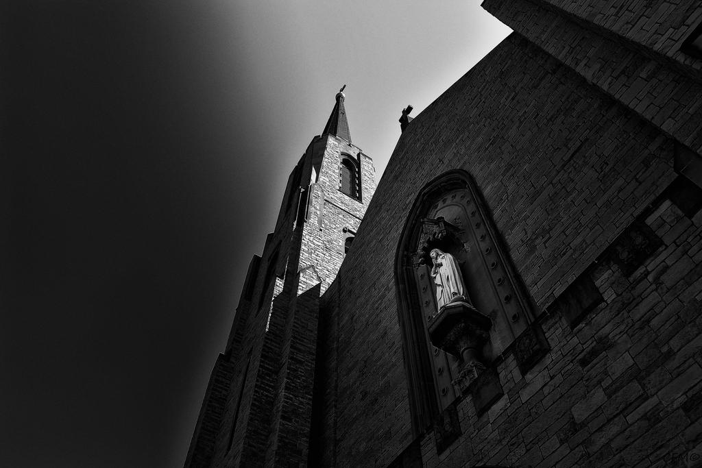 DSC_1016_3.jpg