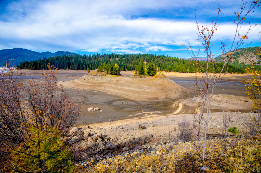 DSC_1019.jpg