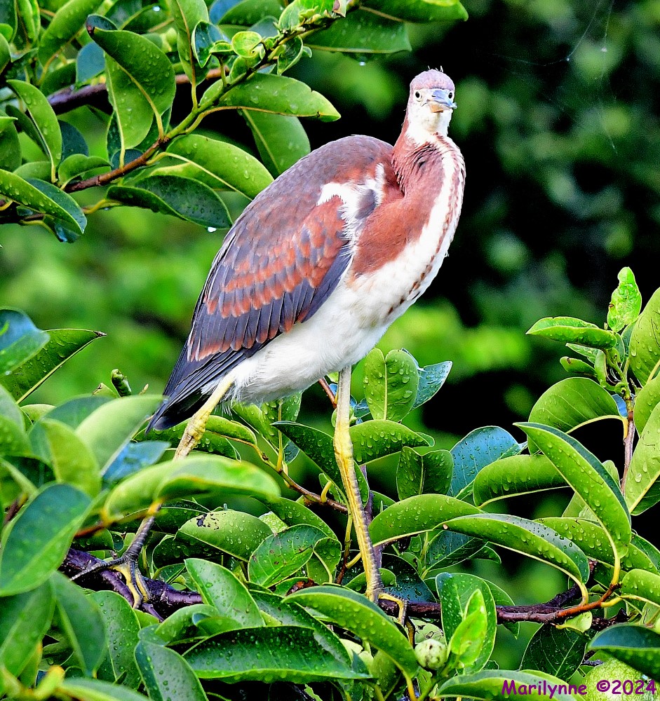 DSC_1019_001.JPG