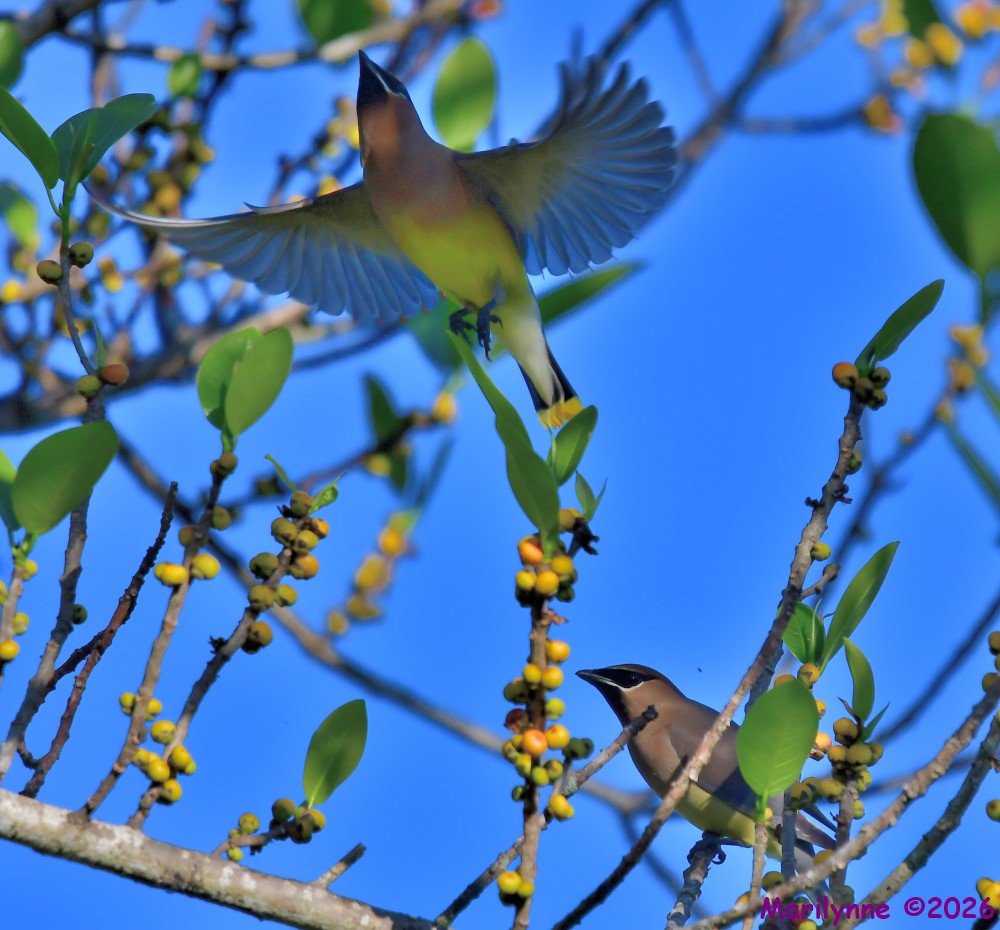 DSC_1024_001.JPG