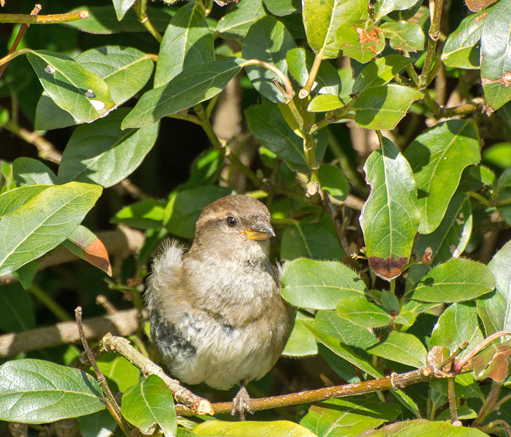 DSC_1030.jpg
