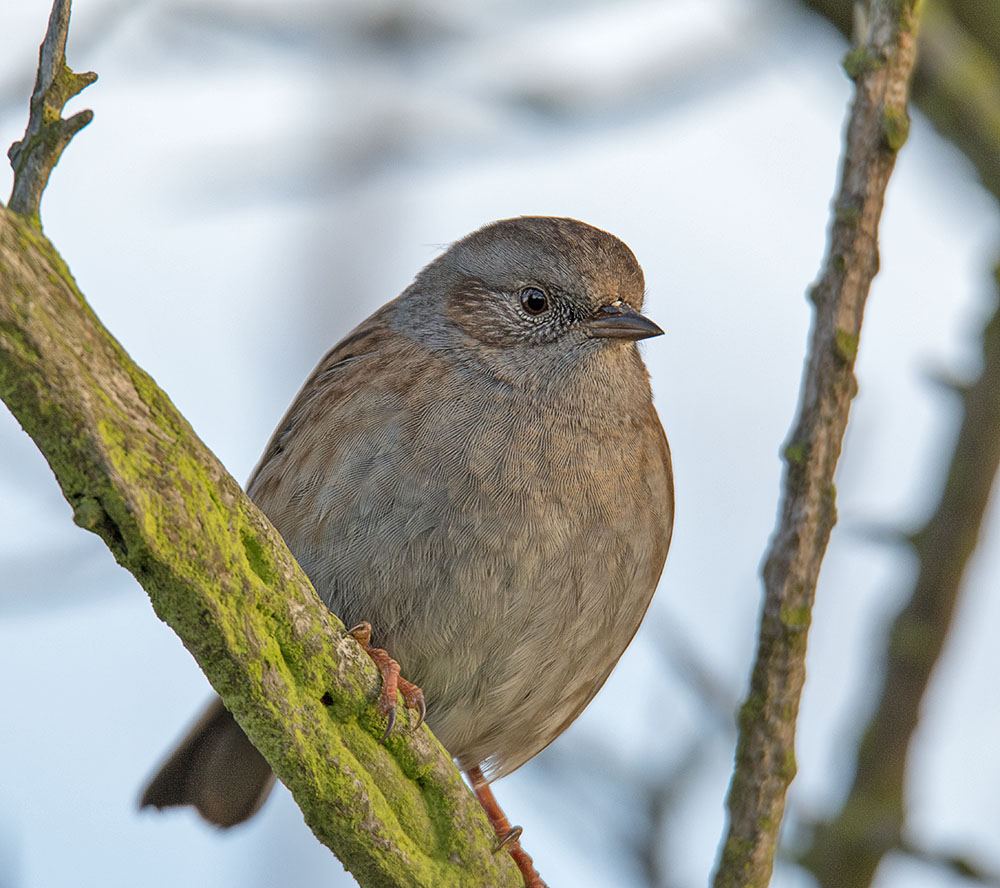 DSC_1032.jpg