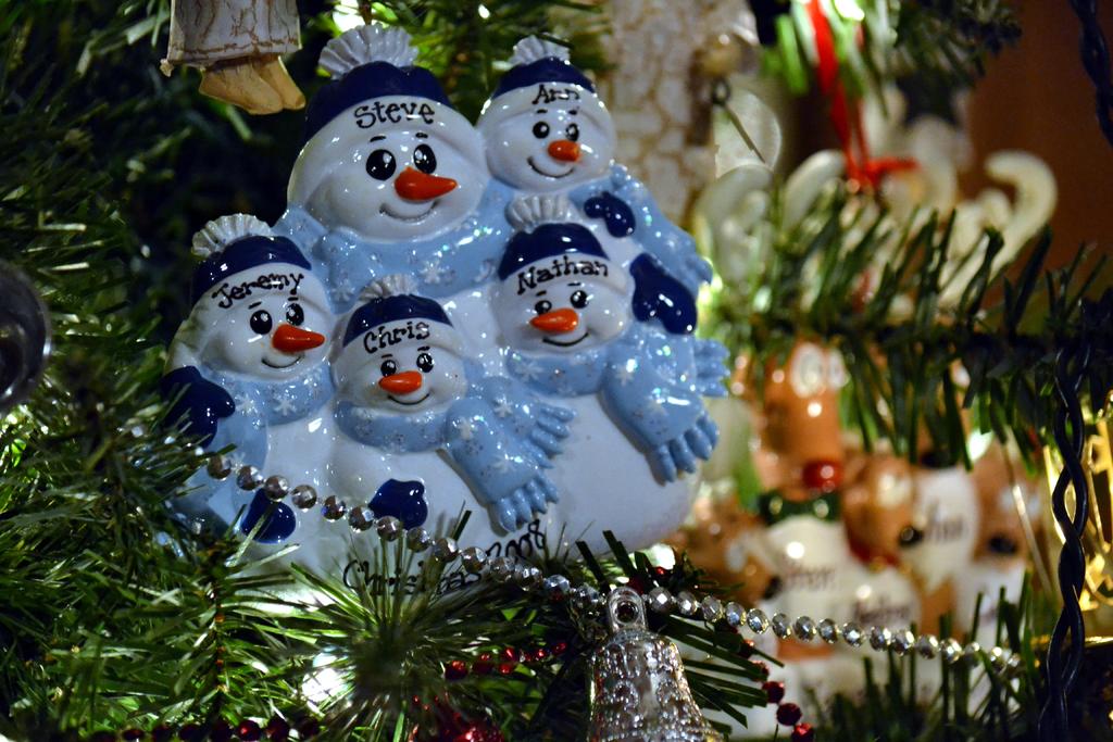 DSC_1032.jpg